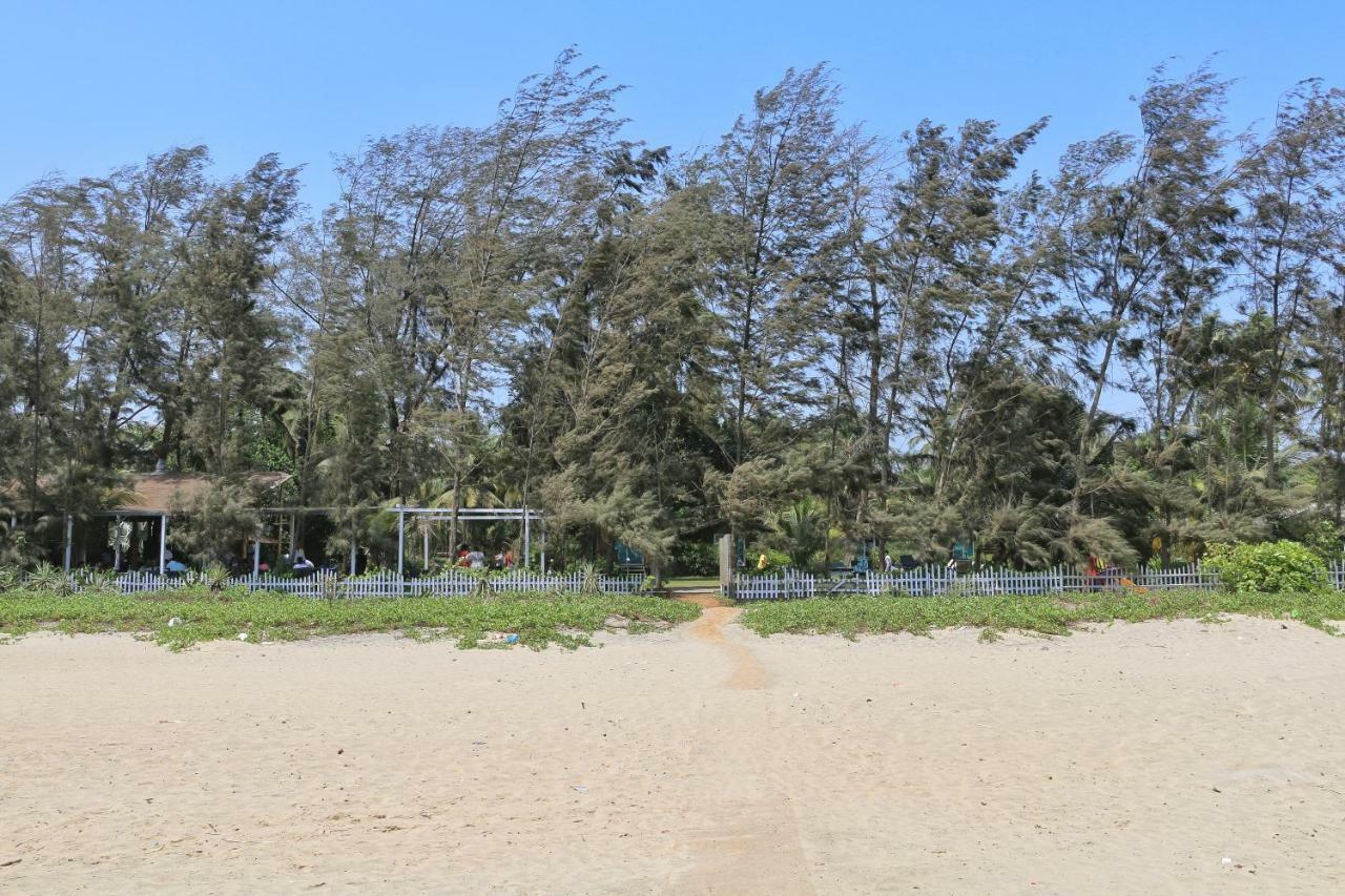 Montego Bay Beach Village - Morjim Exterior photo